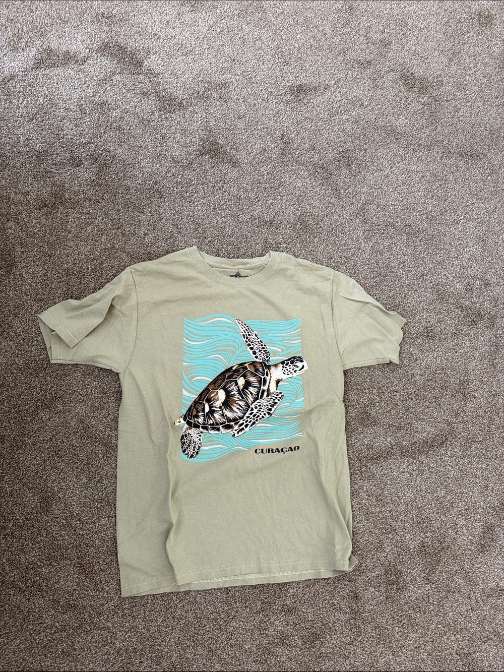 Sea Turtle Graphic Tee - Light Olive